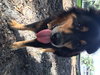Charley
