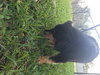 Charley