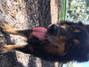 Charley