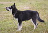 Yukon