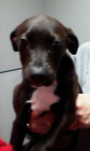 Wilma