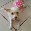 Bella - BONDED w/ Pixie