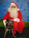 Kurt the Coonhound