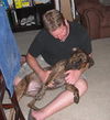 Arlo the Plott Hound