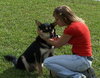 Lester Bear the Shepherd