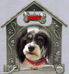 Brandy A Little Deaf Boy