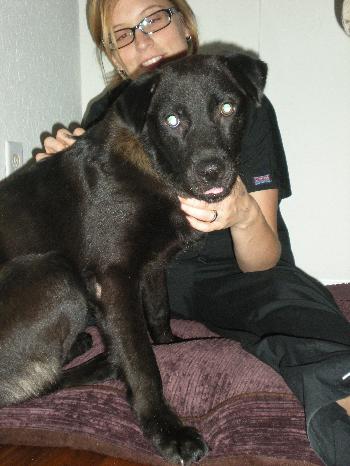 Glenda the Puppy