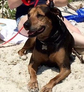Jewels~A Beach Lovin' Gal