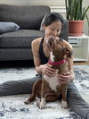 adoptable Dog in derwood, MD named *REBECCA