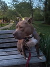 ZINA - Photo 1