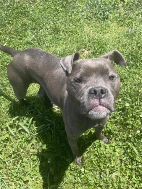 RYDER