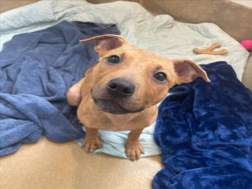 WINNIE