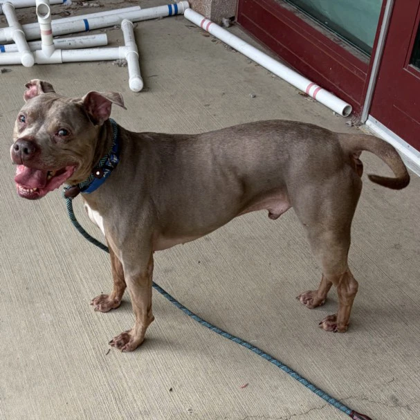 Tyson