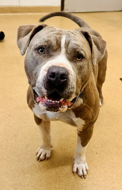 Zeus