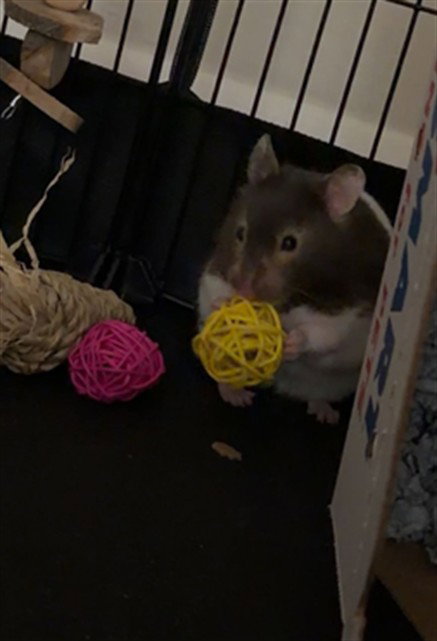 ELLIE, other