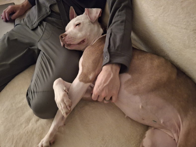 BONITA