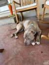 KIERAN - Photo 2