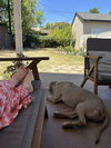KIERAN - Photo 3