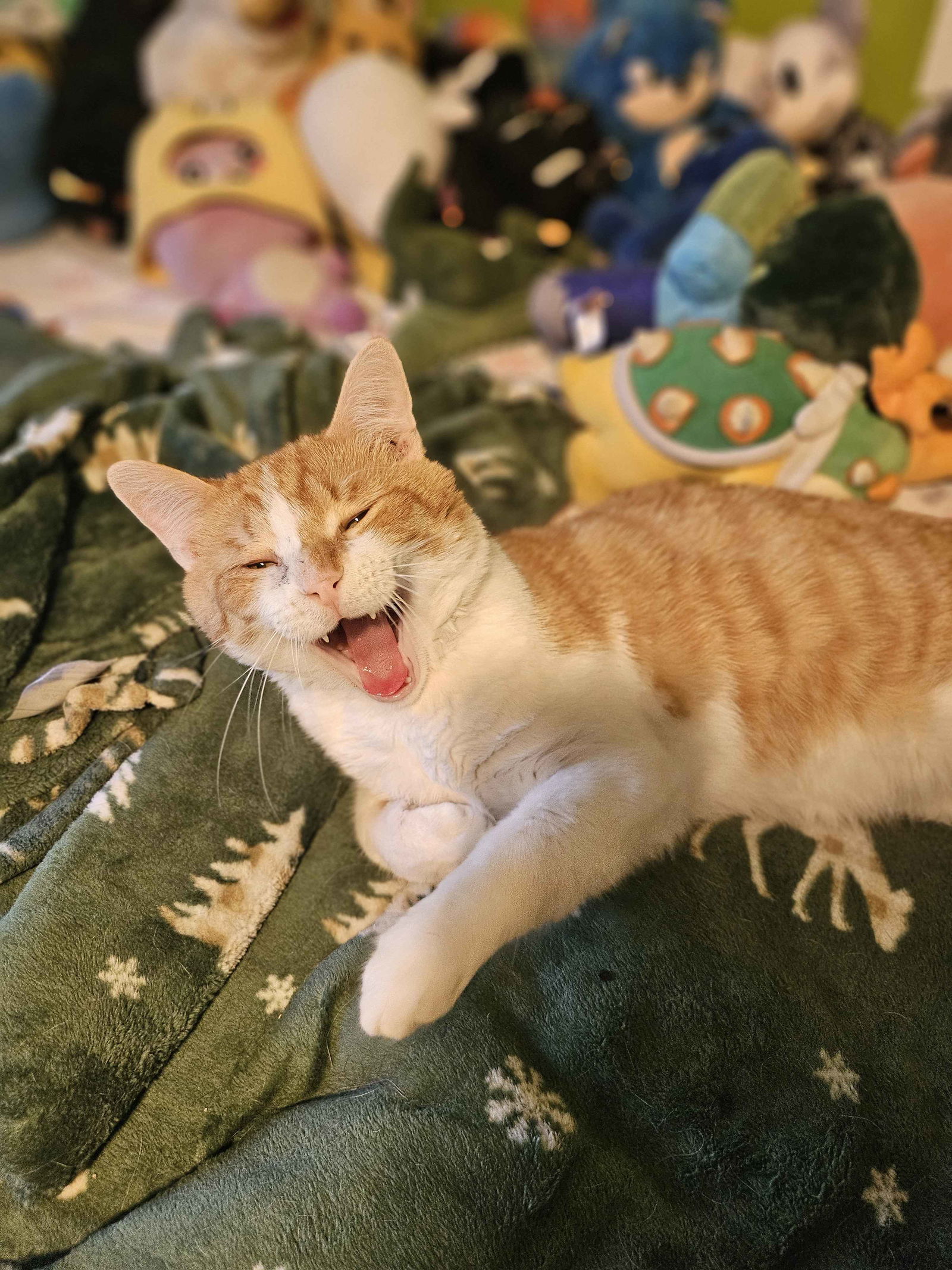 adoptable Cat in Brunswick, OH named Linus