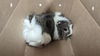 adoptable Guinea Pig in pasadena, CA named BOP