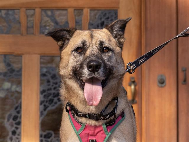 KONA