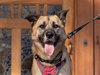 KONA - Photo 1