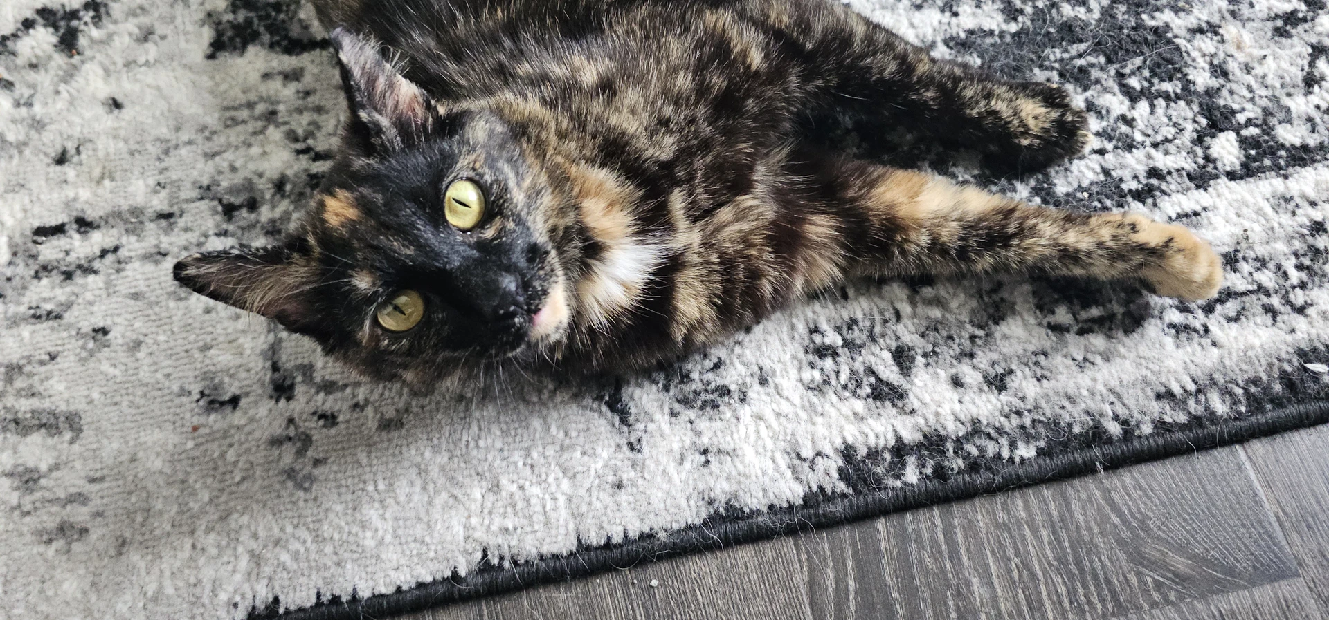 Artemis