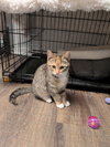 Daphne - Photo 6