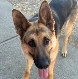Josie C image 3