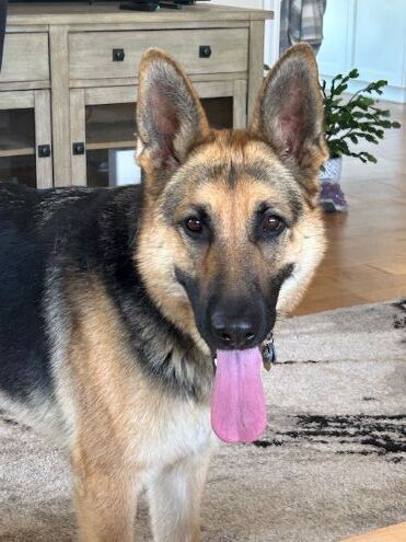 Josie C. photo 8