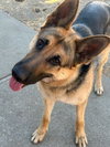 Josie C. - Photo 4