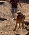 Josie C. - Photo 5