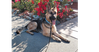 Josie C. - Photo 2