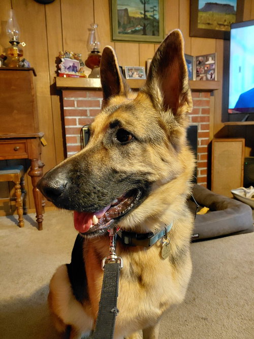 Josie C. photo 3
