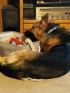 Josie C. - Photo 5