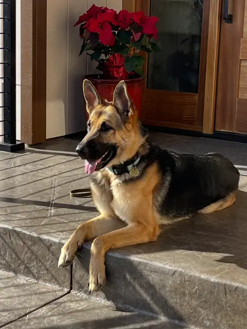 Josie C image 2