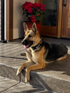 Josie C. - Photo 1