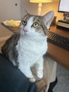 Patience - Photo 5
