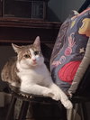 Patience - Photo 4