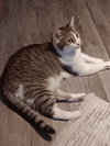 Patience - Photo 2