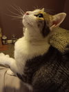 Patience - Photo 11