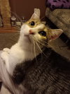 Patience - Photo 10