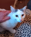 Colby - Photo 3