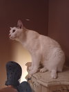 Colby - Photo 2