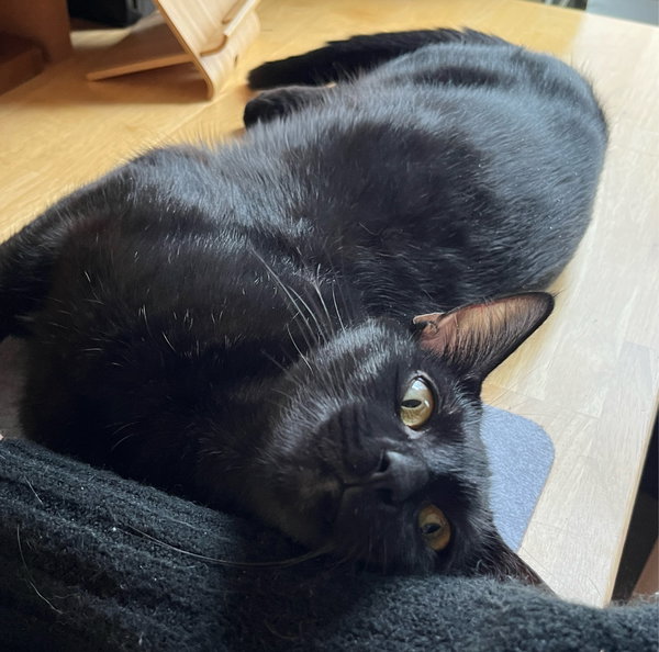 Nori