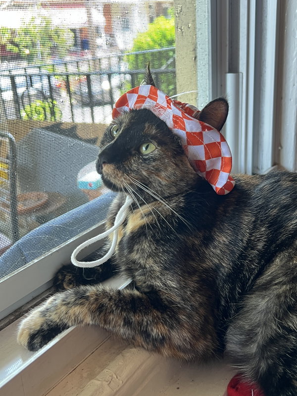 Penny