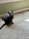 Hilda - Photo 1
