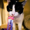 Freya - Photo 1