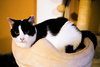 Freya - Photo 2