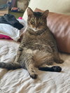 Miles - Photo 1